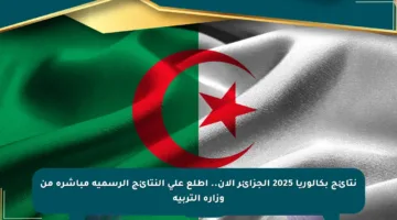 نتائج بكالوريا 2025 الجزائر الآن.. اطلع على النتائج الرسمية مباشرة من وزارة التربية